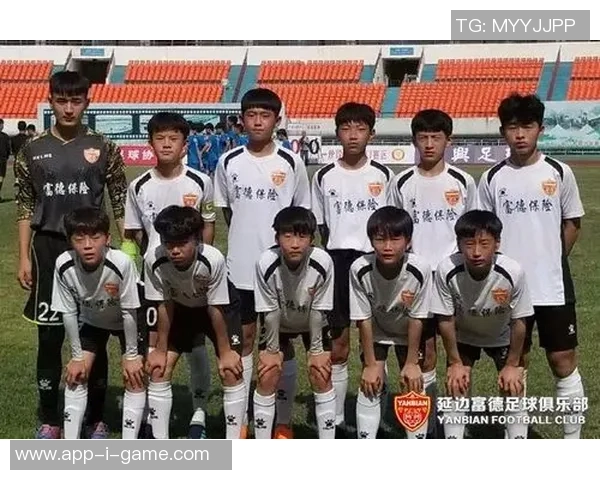 延边富德足球队员在赛季中的表现与成长历程分析与展望