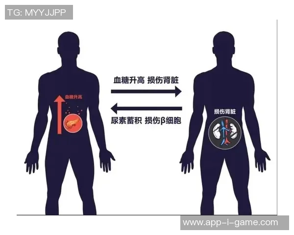 足球服的材料选择与性能分析探讨及其对运动表现的影响